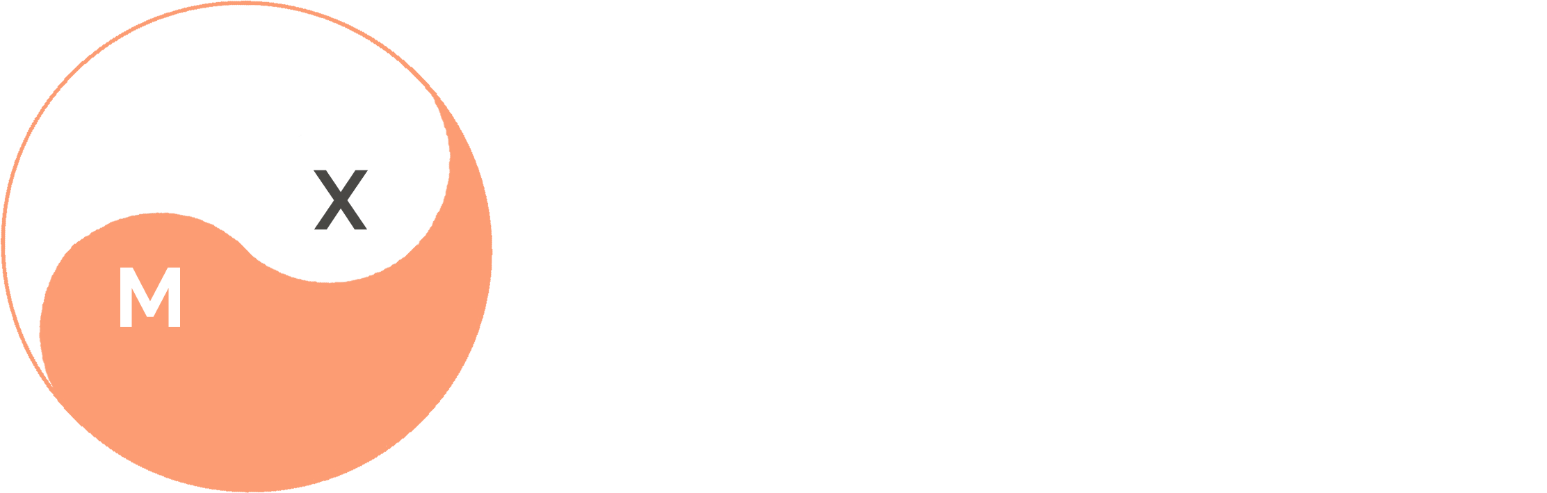 https://www.marixperience.com/wp-content/uploads/2024/11/mx-1.png